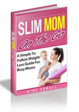 Slim Mom On The Go free pdf download