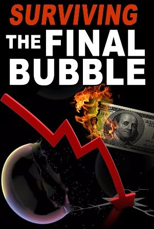 Surviving The Final Bubble book cover