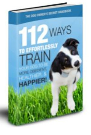 Dog Owner’s Secret Handbook e-cover