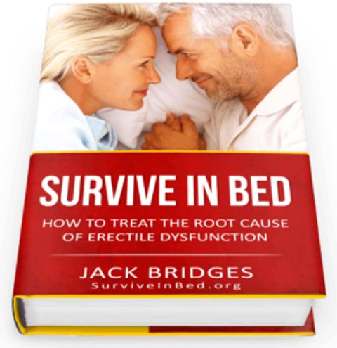 Survive In Bed book cover