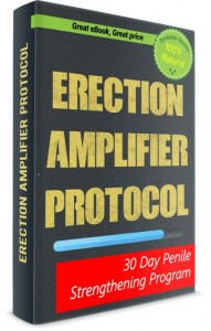 Erection Amplifier Protocol book cover