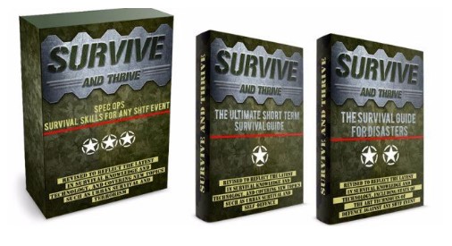 Survive And Thrive e-cover