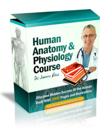 Human Anatomy And Physiology e-cover