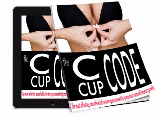 The C Cup Code ebook cover