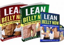 Lean Belly Now e-cover