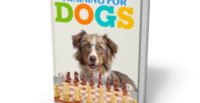 Brain Training for Dogs ebook cover