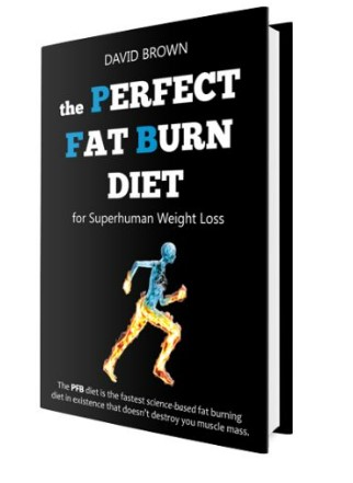 Perfect Fat Burn Diet e-cover