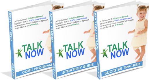 The Talk Now System ebook cover