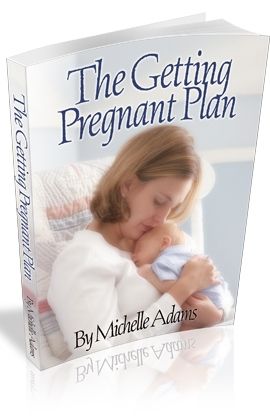 The Getting Pregnant Plan book cover