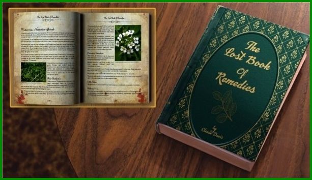 The Lost Book Of Remedies book e-cover