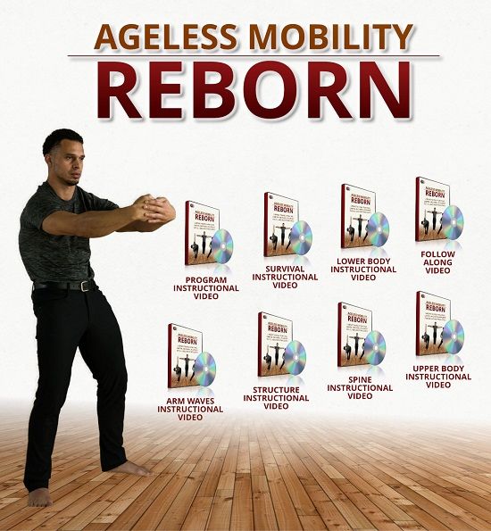 Ageless Mobility Reborn e-cover