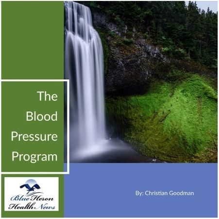 Blood Pressure Program book cover