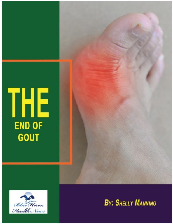 End Of Gout book cover