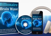 Billionaire Brain Wave Book Book Cover