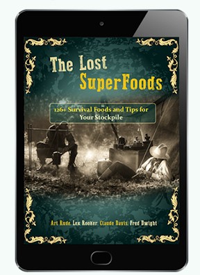 Lost Superfoods cover