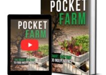 Pocket Farm cover