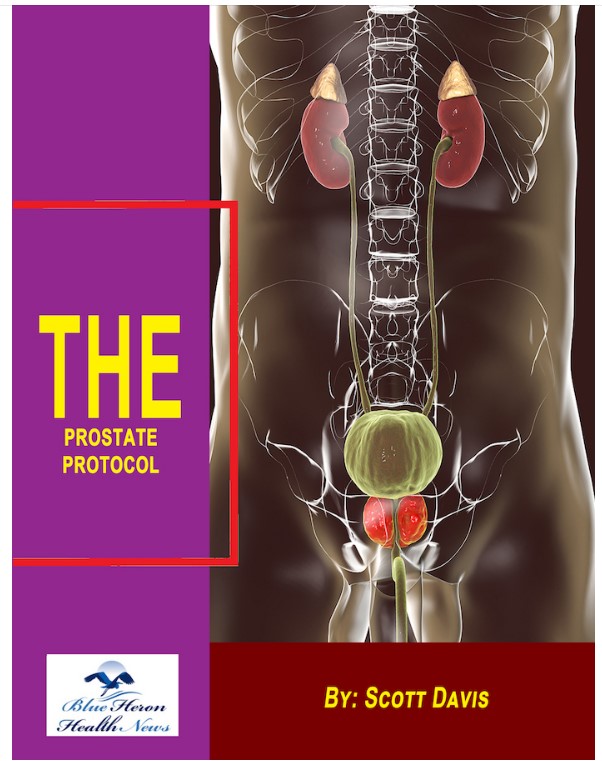 Prostate Protocol cover