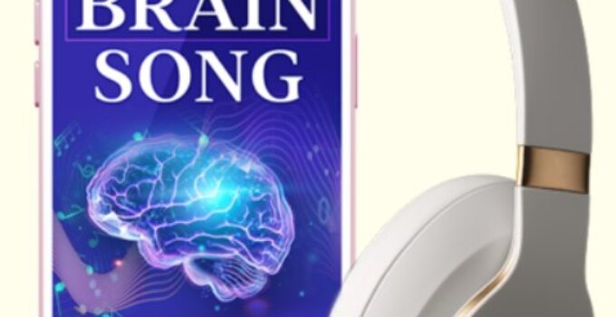 the brain song ebook cover
