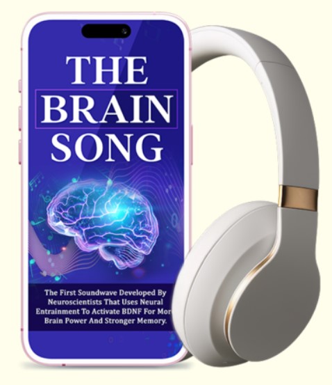 the brain song ebook cover