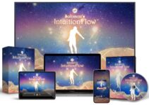 Solomon's IntuitionFlow e-cover