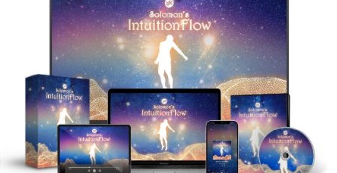 Solomon's IntuitionFlow e-cover