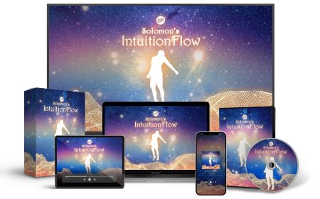 Solomon's IntuitionFlow e-cover